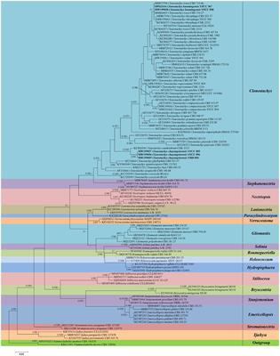 Phylogeny and systematics of the genus Clonostachys